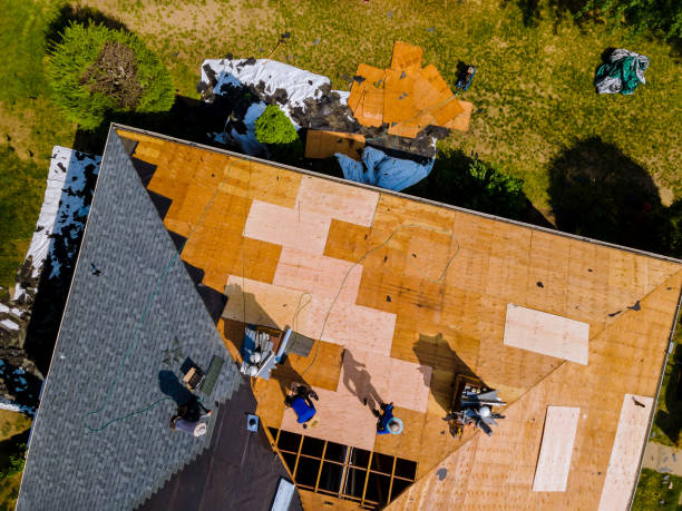 Roof Gutter Cleaning in Waverly, TN