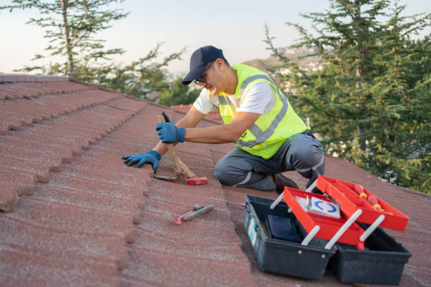 Best Roof Gutter Cleaning  in Waverly, TN